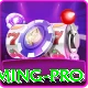 t44bet - Gaming Pro